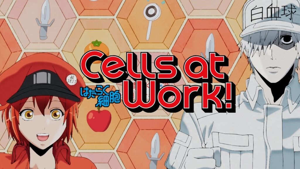 Cells at Work! Season 1 Hindi & Japanese (Dual Audio) WEB-DL Episodes Download