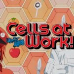 Cells at Work! Season 1 Hindi & Japanese (Dual Audio) WEB-DL Episodes Download