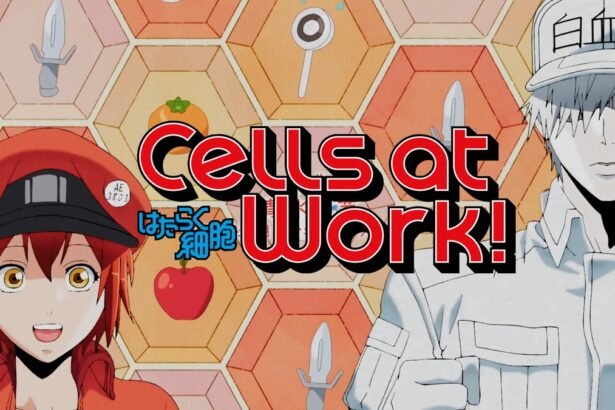 Cells at Work! Season 1 Hindi & Japanese (Dual Audio) WEB-DL Episodes Download